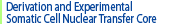 Derivation and Experimental Somatic Cell Nuclear Transfer Core